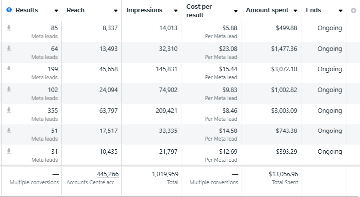 887 Leads - Facebook Ads